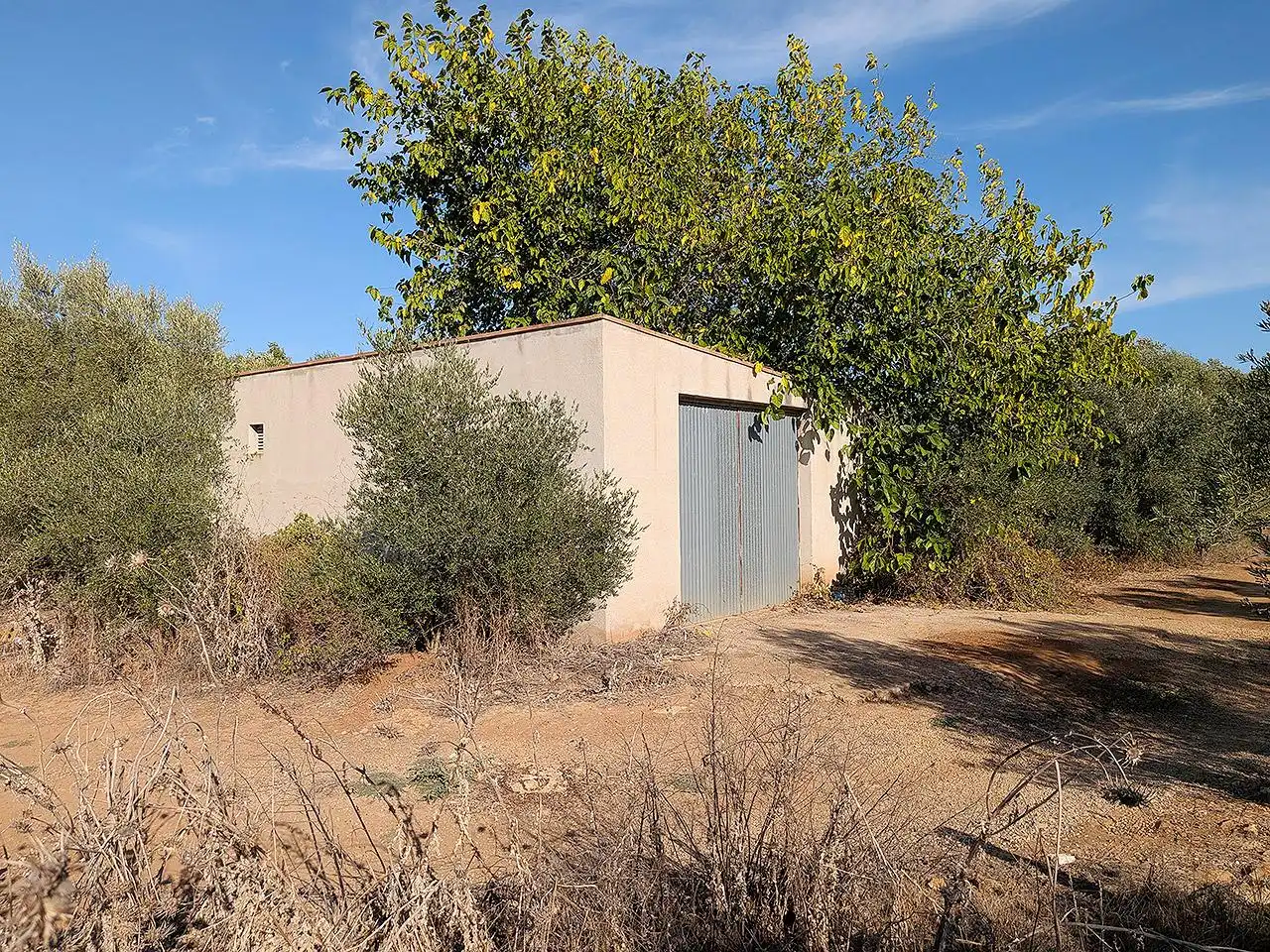 Country homes for sale in Ulldecona