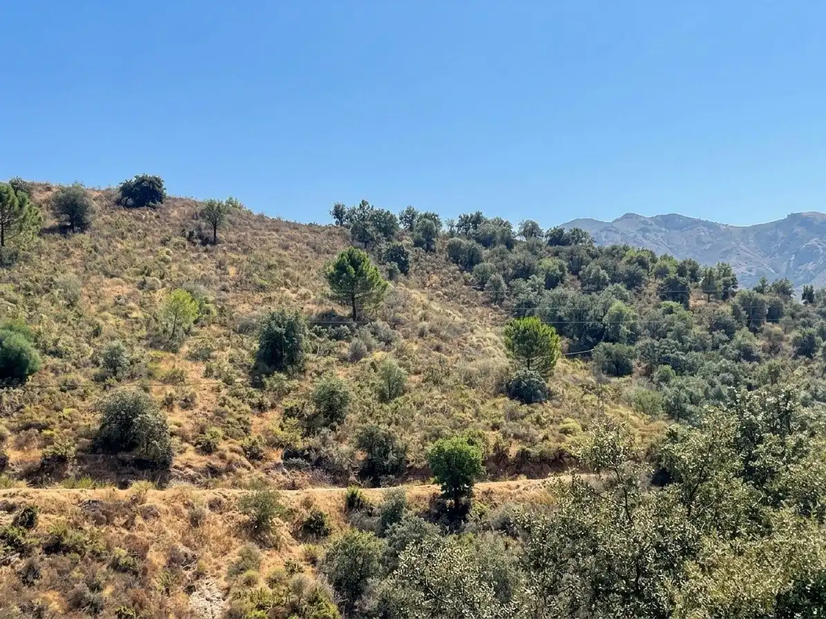 Terreno rustico in vendita a la cañada del castillo, imagen 4