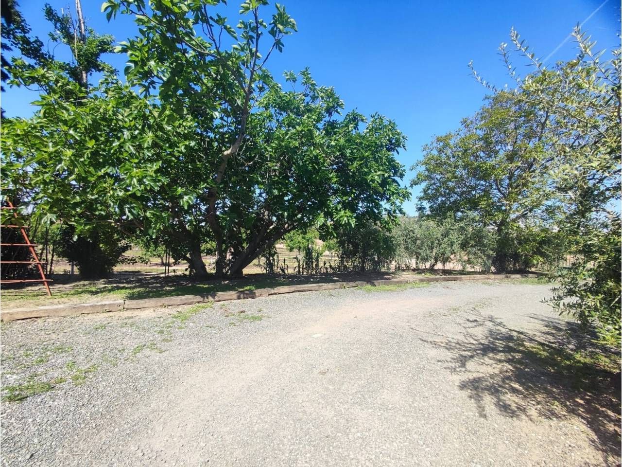 Land for sale in Zaidín
