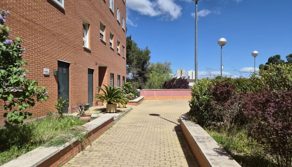 Piso de alquiler en Tres Olivos - Valverde - Imagen 2