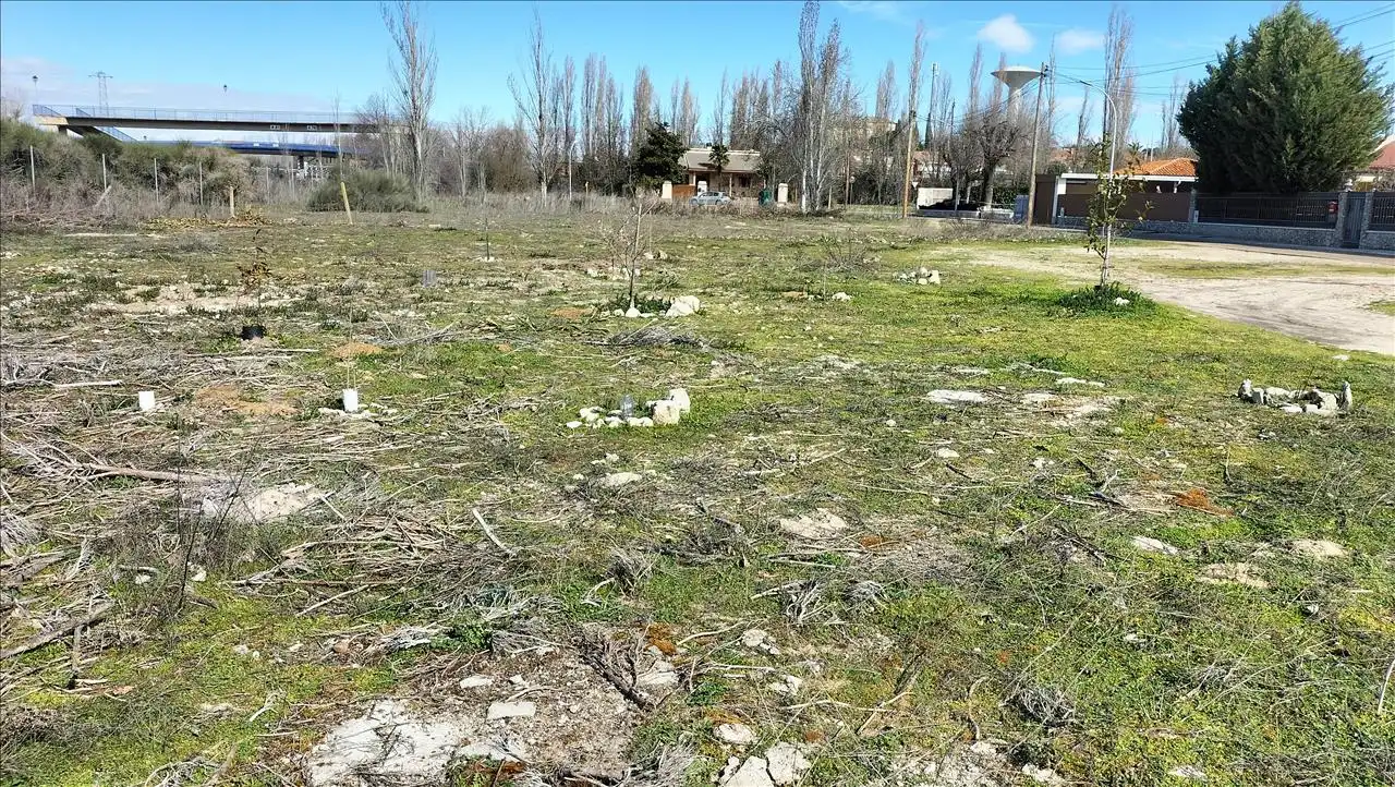Residential land for sale in PALOMA, imagen 7