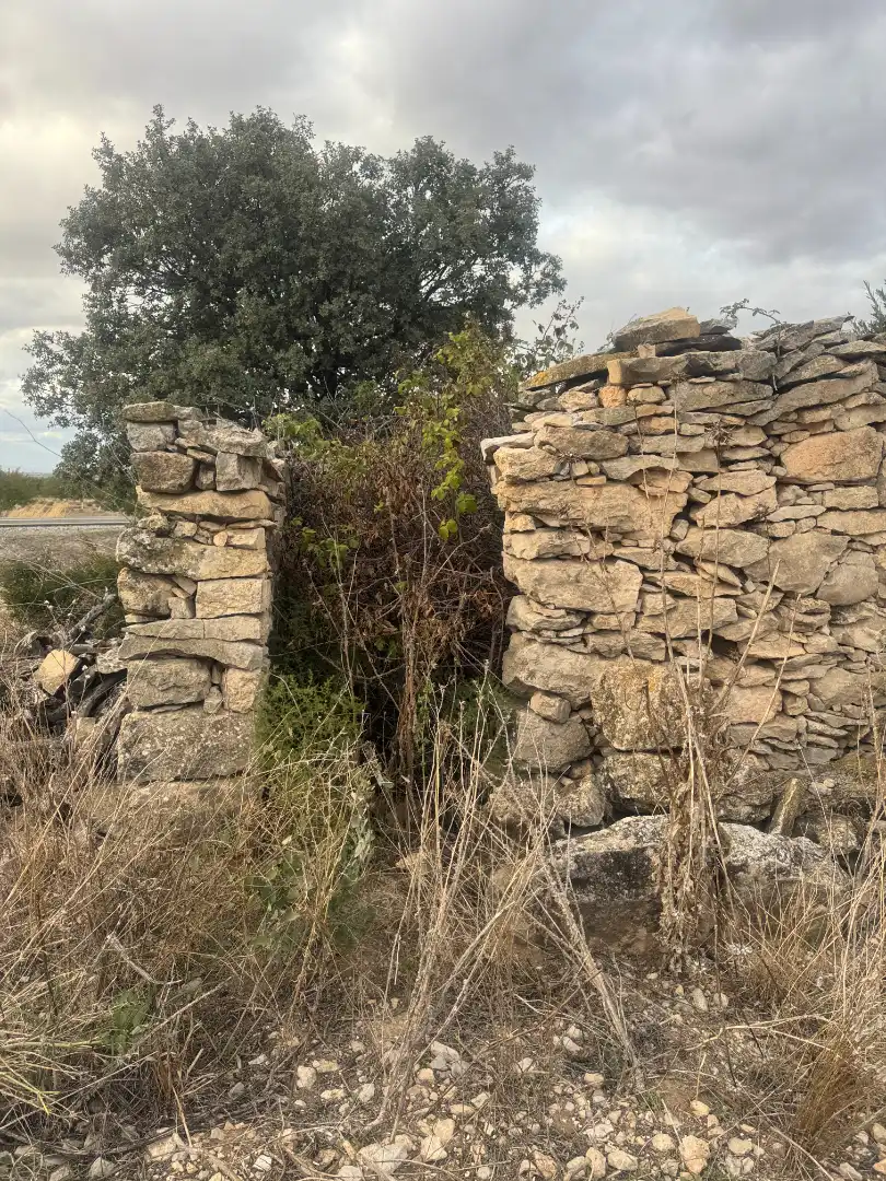 Terreny rústic en venda a Sant Martí de Riucorb, imagen 6
