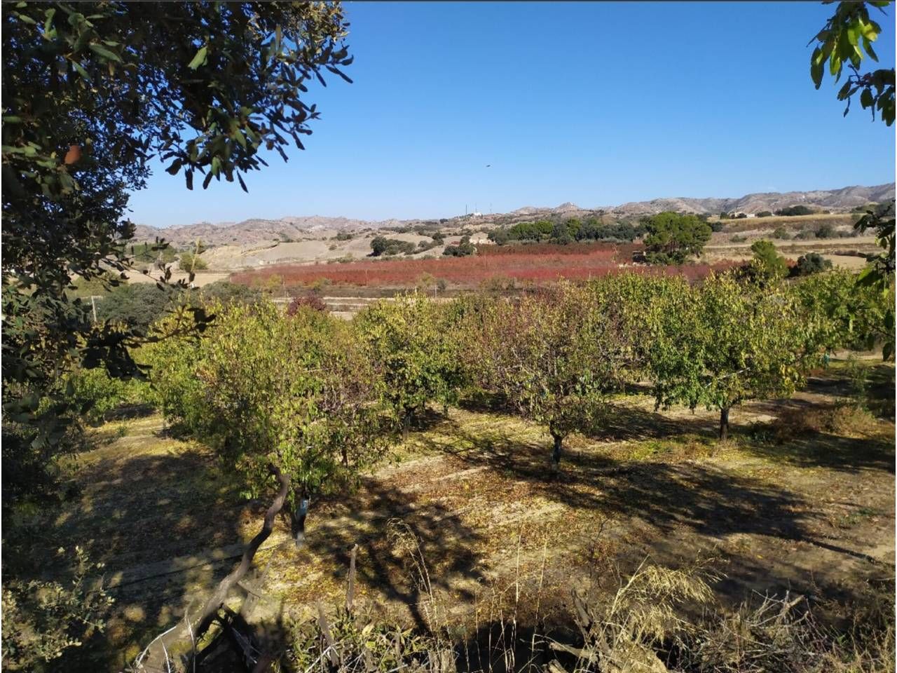 Land for sale in Albelda