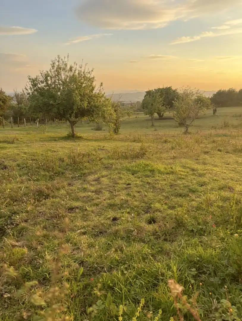 Residential land for sale in La Pola de Siero 58, imagen 12