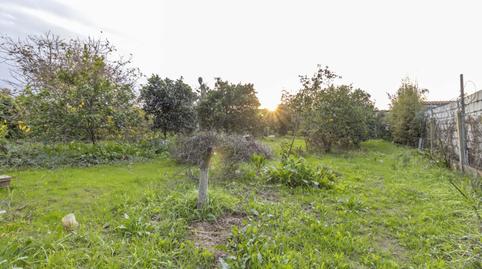 Foto 4 de Casa o xalet en venda a Oromana, Sevilla