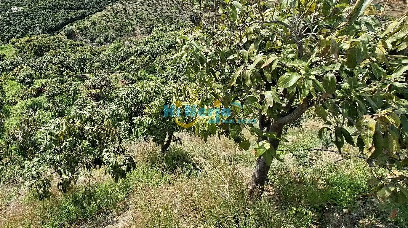Casa en venta en Vélez-Málaga ciudad, imagen 30
