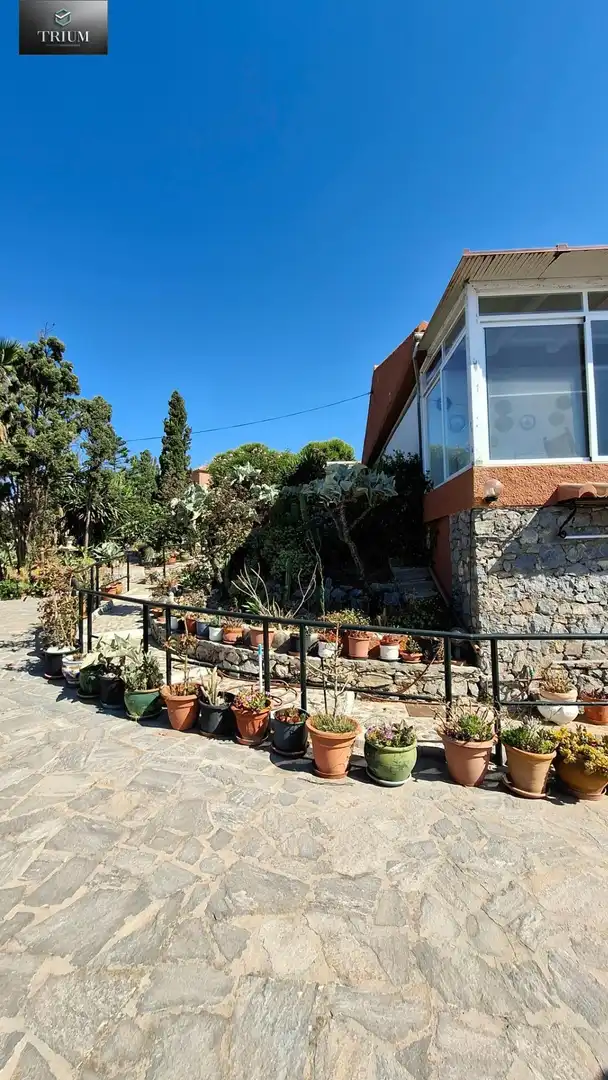 Terrassa de Casa o xalet en venda en Almuñécar