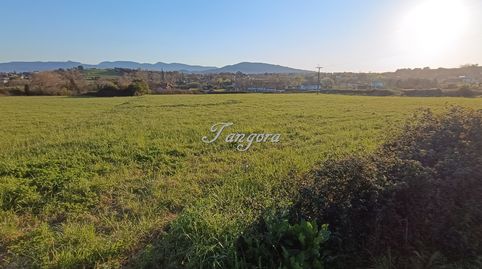Preciosa parcela de terreno de 5.250 m² no urbanizable en Getxo., imatge 2
