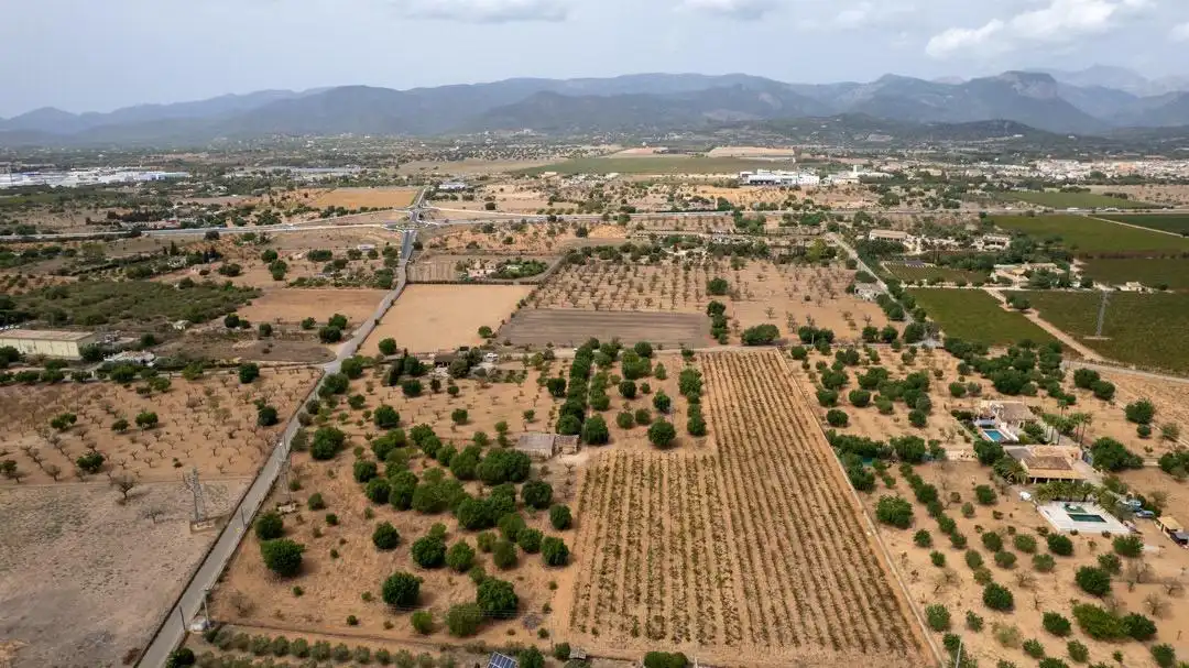 Land for sale in Consell
