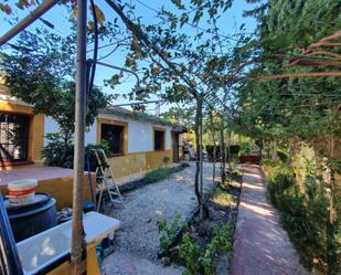 Garden of Country house for sale in Puerto Lumbreras  with Terrace, Swimming Pool and Balcony