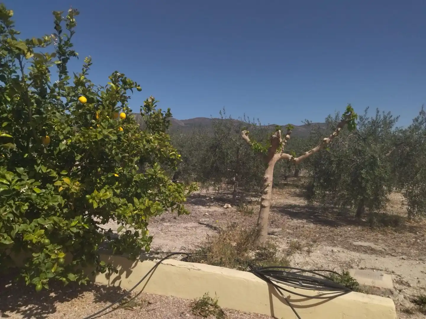 Finca rústica en venta en Moratalla con Aire acondicionado, Calefacción y Jardín privado