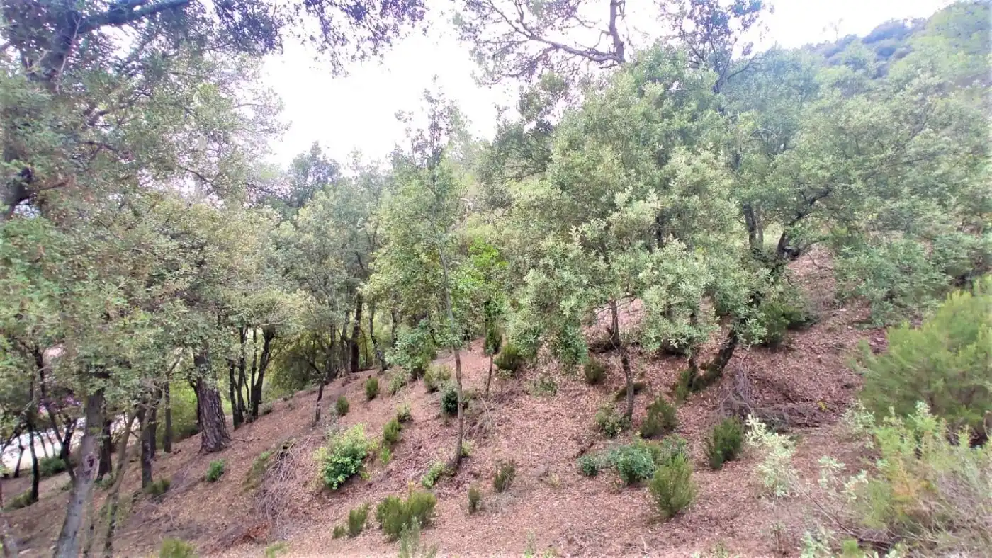Terrain résidentiel à vendre à Matadepera, imagen 2