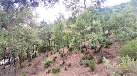Terreno de 2.299m2 en venta en les Pedritxes, Matadepera, imatge 2