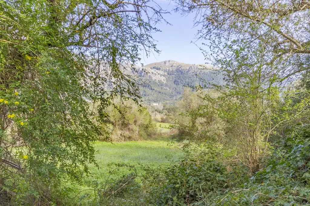 Maison rustique avec jardin à vendre à Pollença Poble, imagen 10