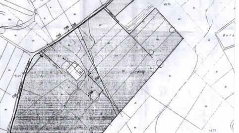 Foto 3 de Finca rústica en venda a Perleta - Maitino, Alicante