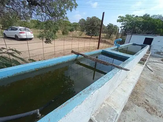 Piscina de Residencial en venda en Constantí