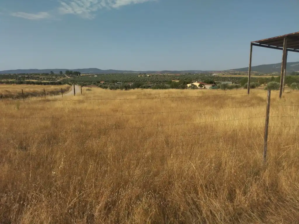 Terreni e lotti in vendita a La Haba, imagen 9
