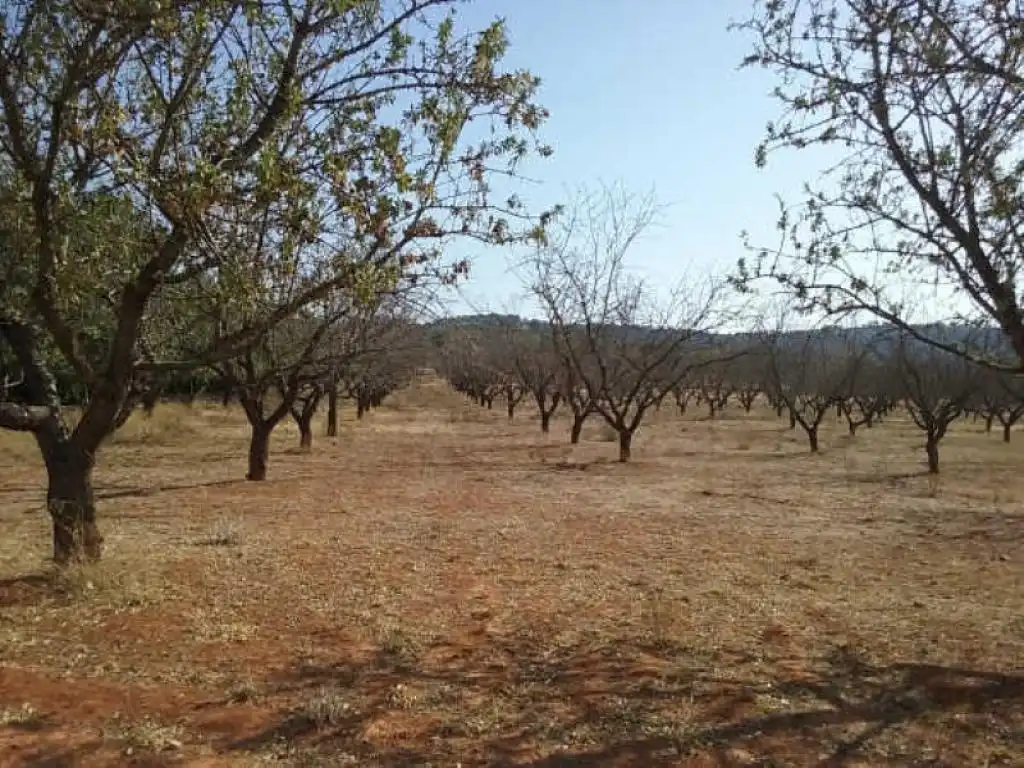 Terrain rustique à vendre à Pt Horquera, imagen 10
