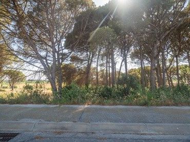 Industriegrundstück zum Verkauf in Eixample Residencial