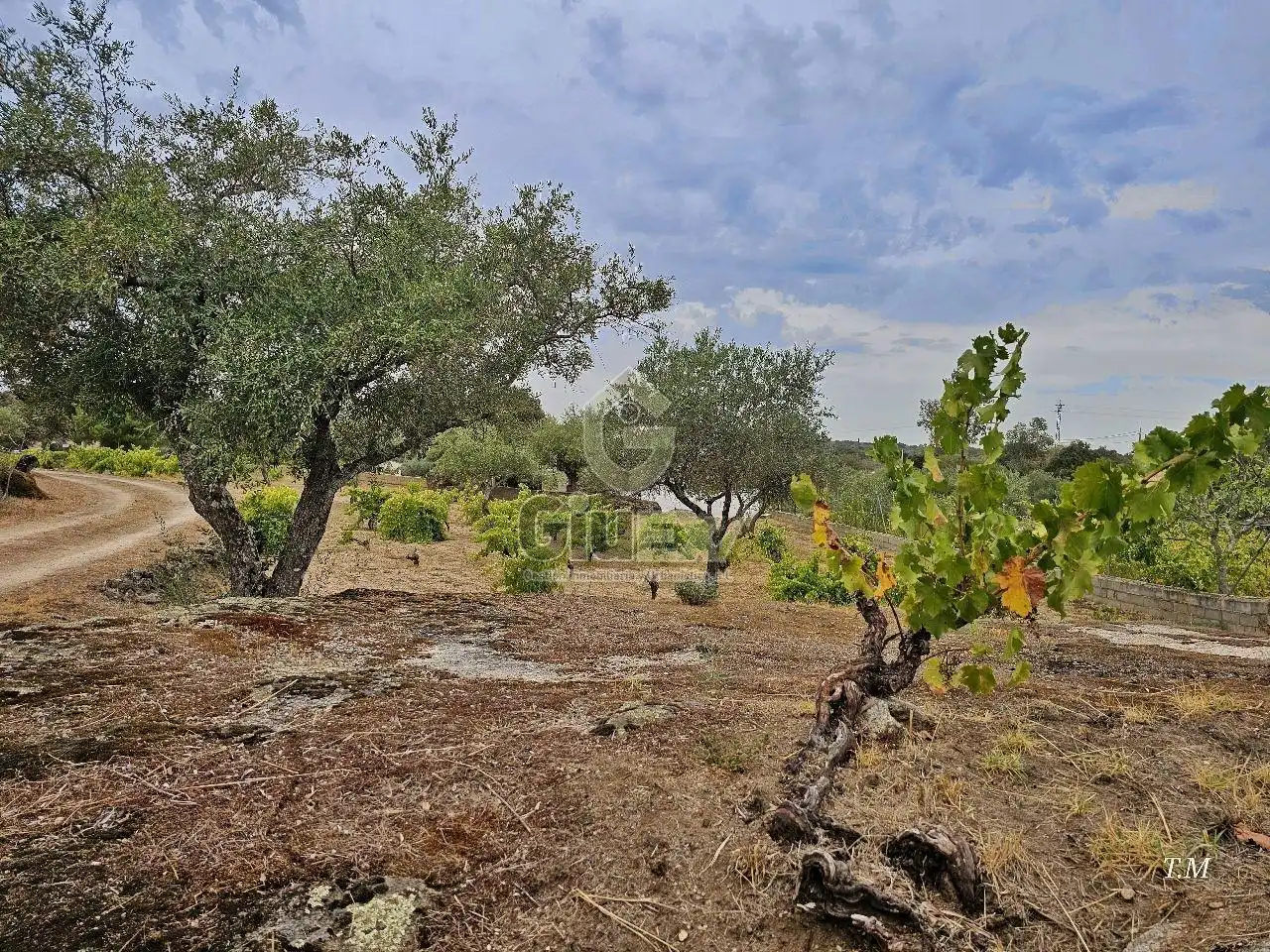 House with garden for sale in Arroyo de la Luz, imagen 46