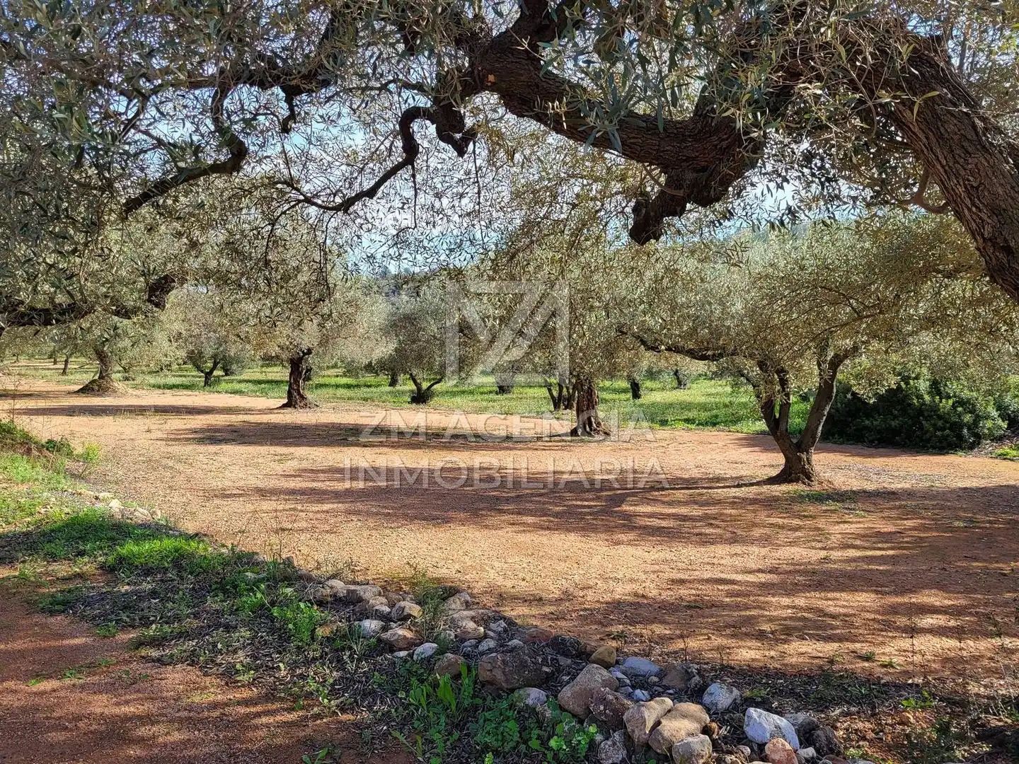 Terreno rustico in vendita a Traiguera, imagen 9