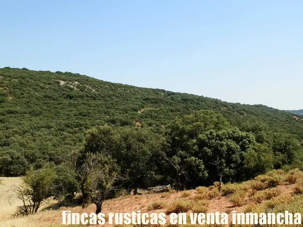 Rustikales Grundstück zum Verkauf in Alcocer, imagen 20