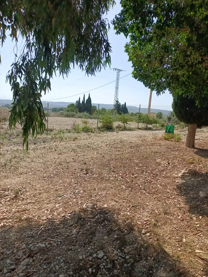 Houses for sale in Molina de Segura