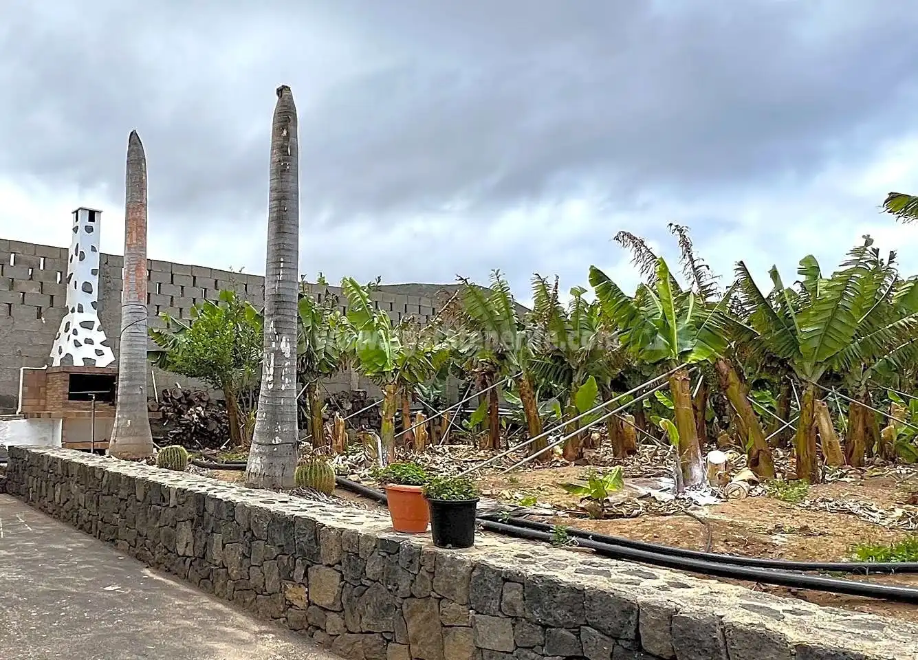 Vista exterior de Finca rústica en venta en Los Silos con Jardín privado y Terraza