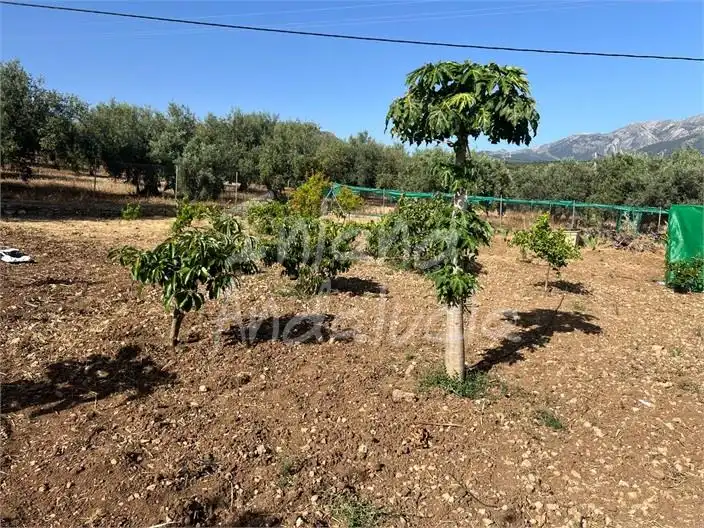 Maison mitoyenne à vendre à Periana, imagen 16