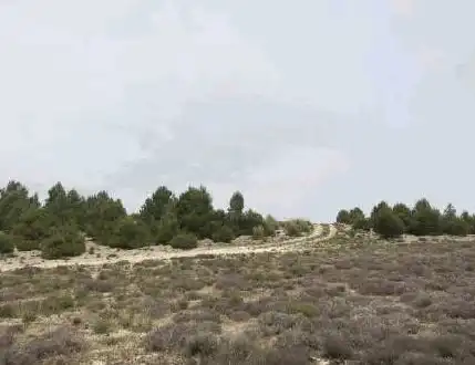 Land for sale in Pl 14 - Morrón de Arriba -, Zarza de Tajo
