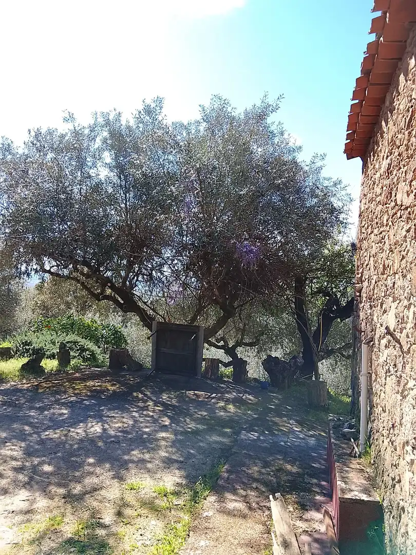 Terreni e lotti in vendita a Candeleda, imagen 43