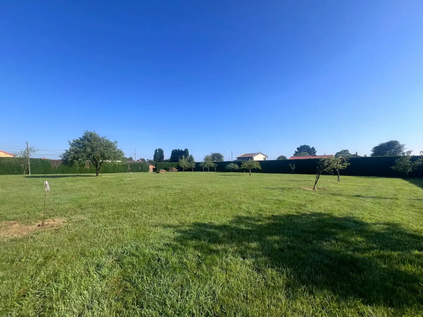 Residential land for sale in LG REBORIO 115, imagen 6
