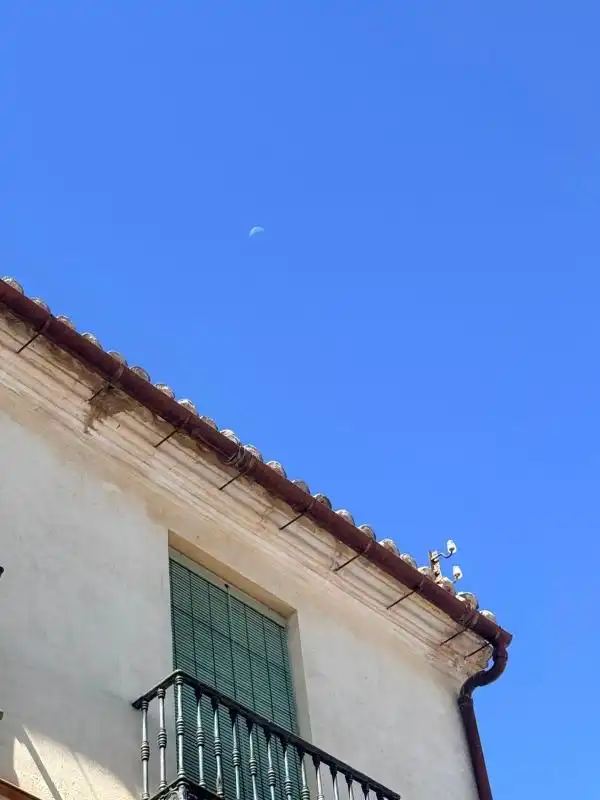 Vista exterior de Casa o chalet en venta en Campillos con Calefacción