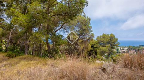 Foto 5 de Terreny en venda a Santa Cristina - Sant Francesc, Blanes