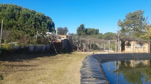 Casa de campo muy cercana a la ciudad de LEPE, Bild 3