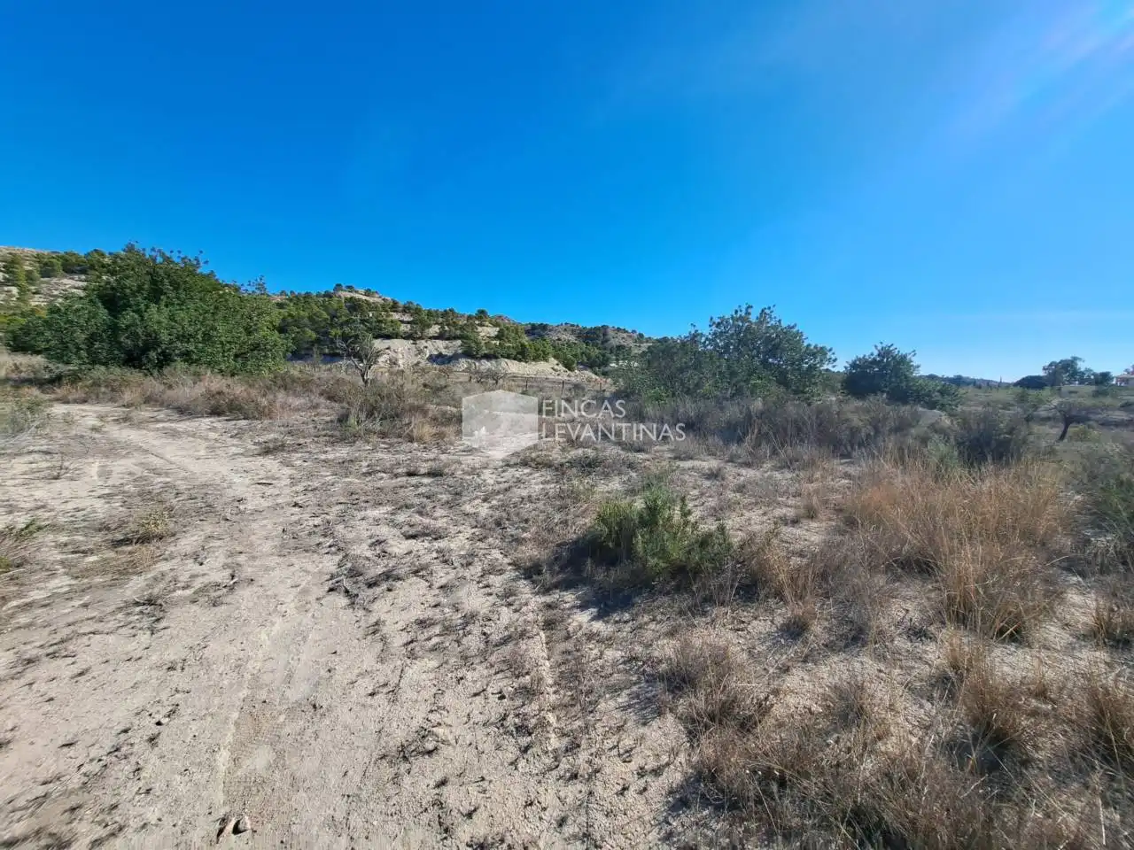Terreny residencial en venda a Partidas de Alicante, imagen 14