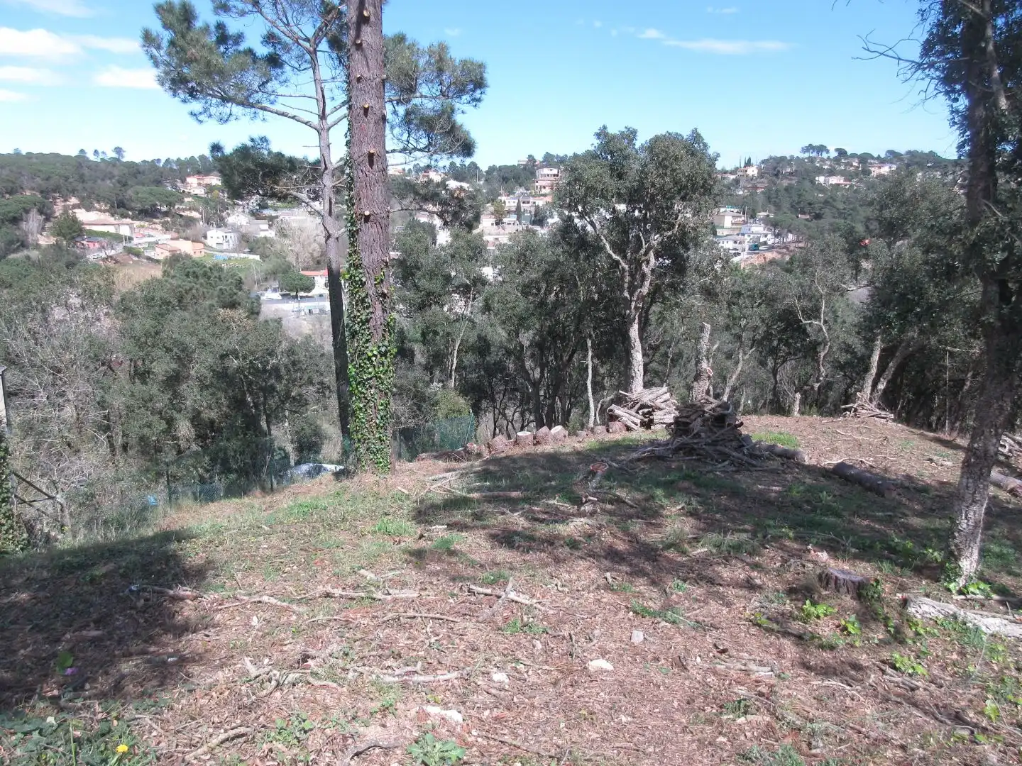 Terreny residencial en venda a Carrer les Mimoses 91, imagen 4