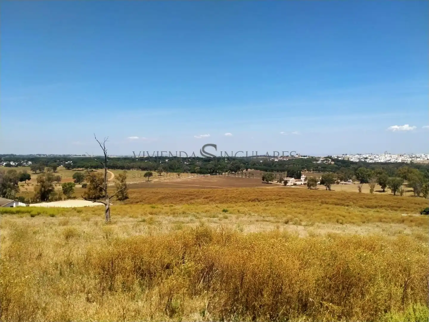 Finca rústica en venda en Alcalá de Guadaira amb Jardí privat, Traster i Piscina