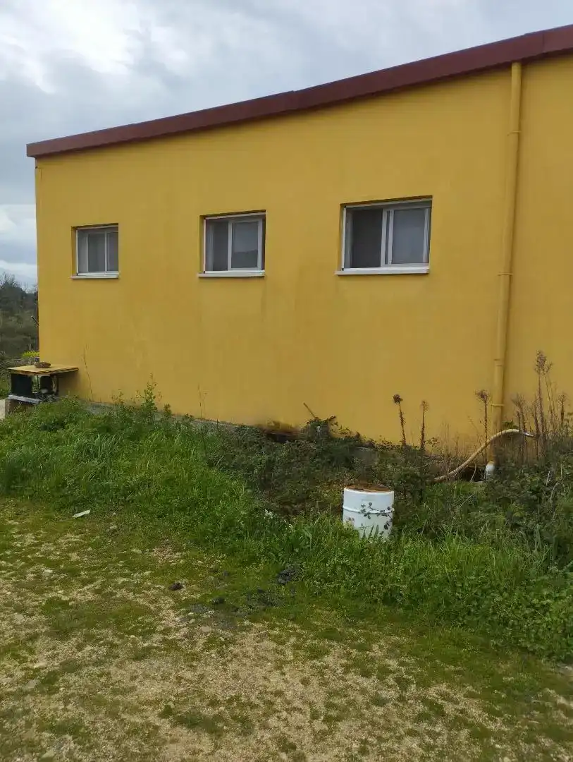 Vista exterior de Nave industrial en venta en Villar del Buey