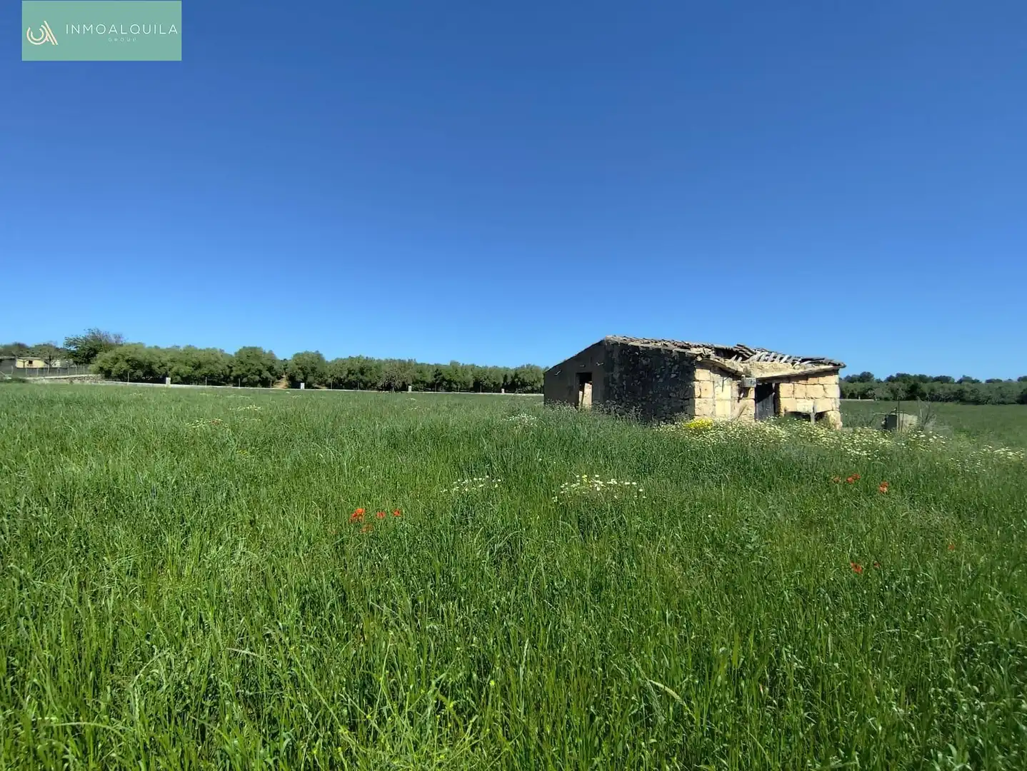 Residential for sale in Ariany