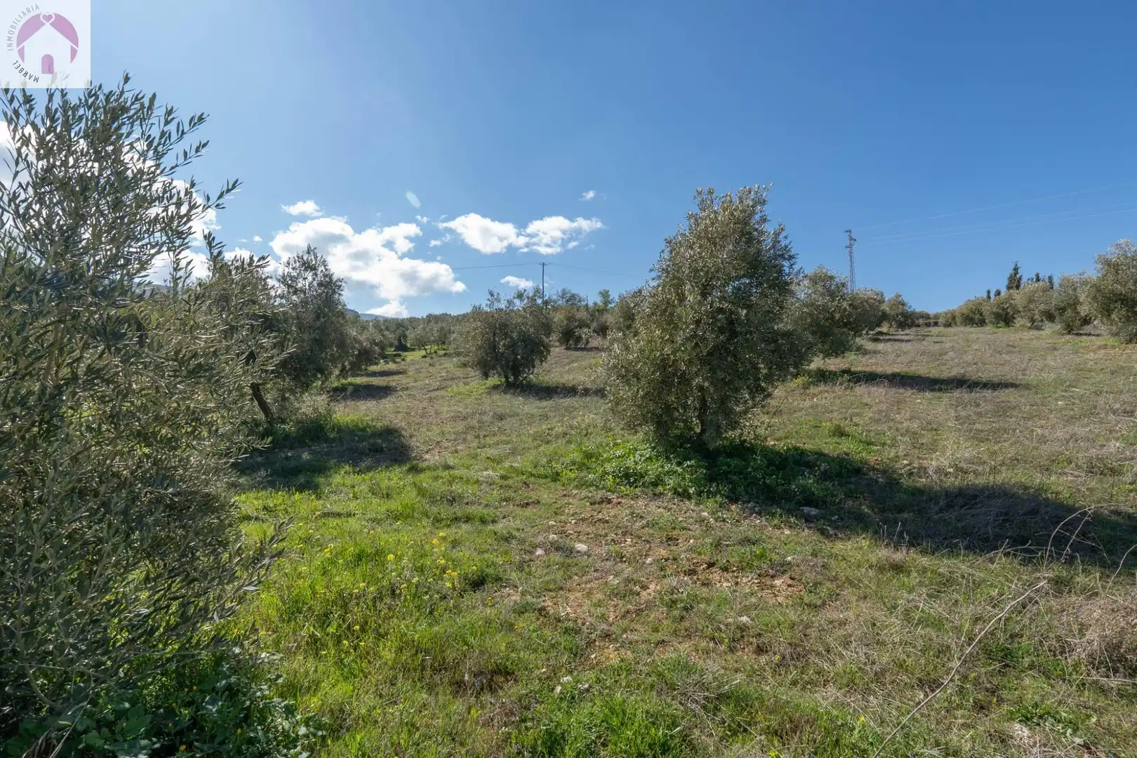 Terreni e lotti in vendita a Cogollos de la Vega, imagen 17