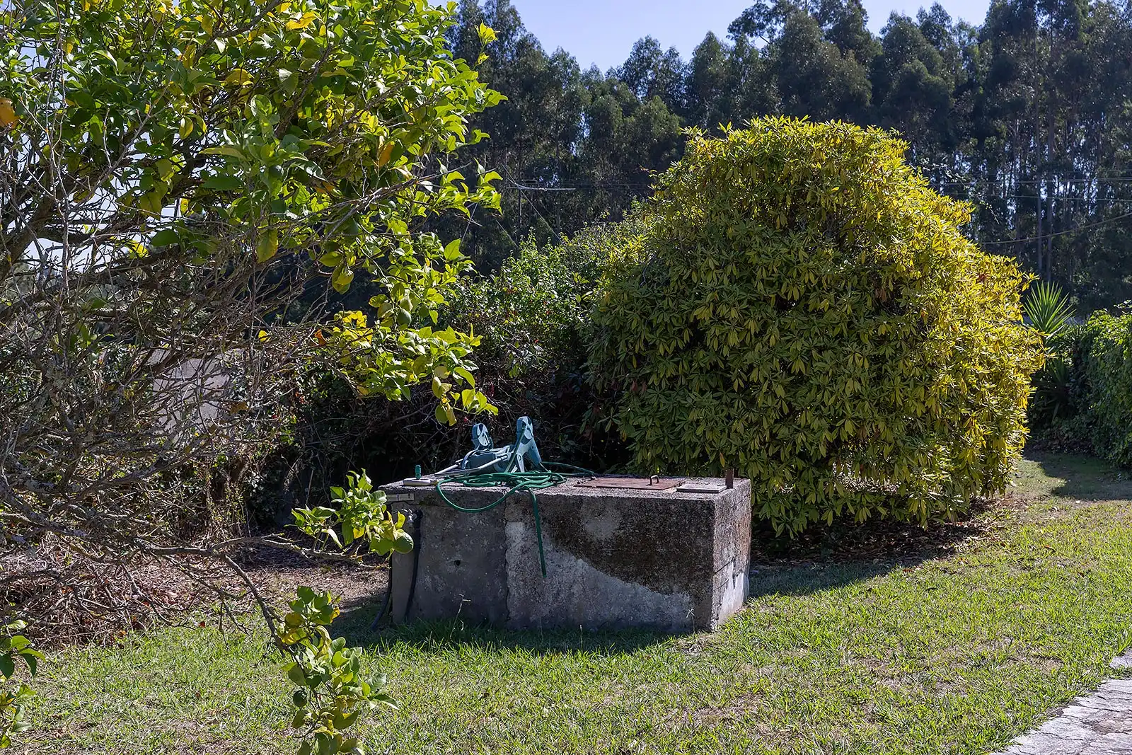 Jardín de Casa o chalet en venta en Oleiros con Calefacción, Jardín privado y Piscina