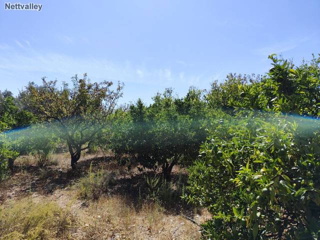 Finca rústica en Venta en PAGO CAZORLAS DE MURCHAS en Lecrín