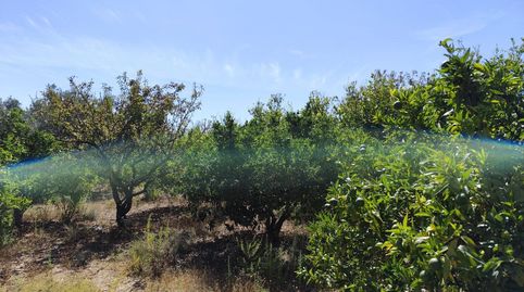 Finca Rúst. en venta en Murchas.