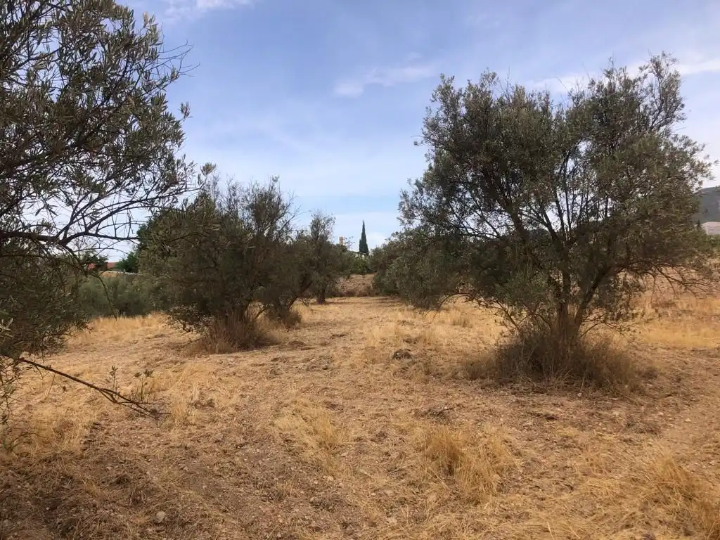 Rural land for sale in Dúrcal, imagen 6