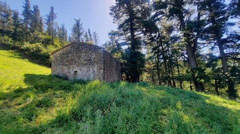 FINCA RÚSTICA CON CABAÑA PARA REFORMAR EN LUENA