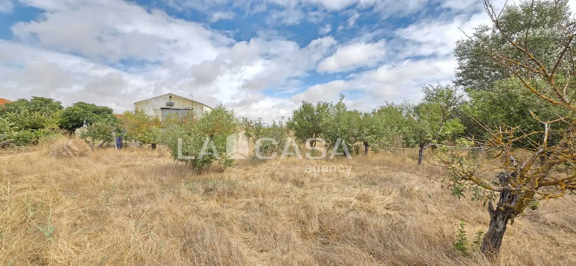 Residencial en venta en Meneses de Campos, Palencia