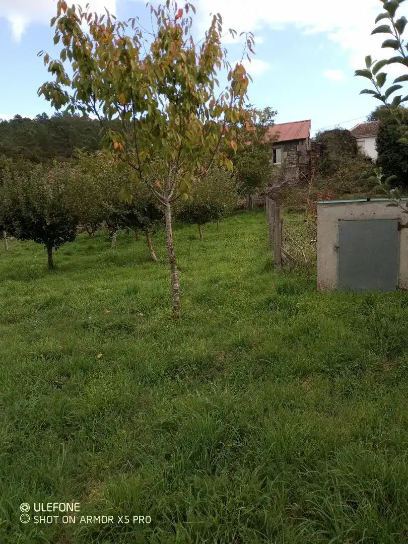 Casa adosada en venda en Boborás amb Jardí privat, Traster i Moblat
