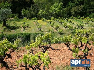 Terreny residencial en venda a Montornès del Vallès