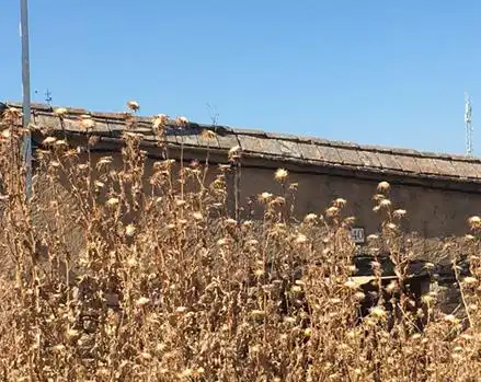 Vista exterior de Casa o chalet en venta en Valdeverdeja